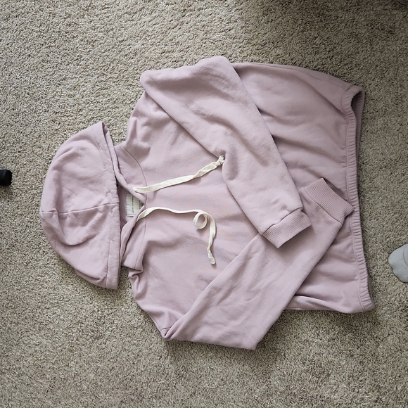 American Eagle Outfitters Tops - American eagle dusty punk crop sweatshirt